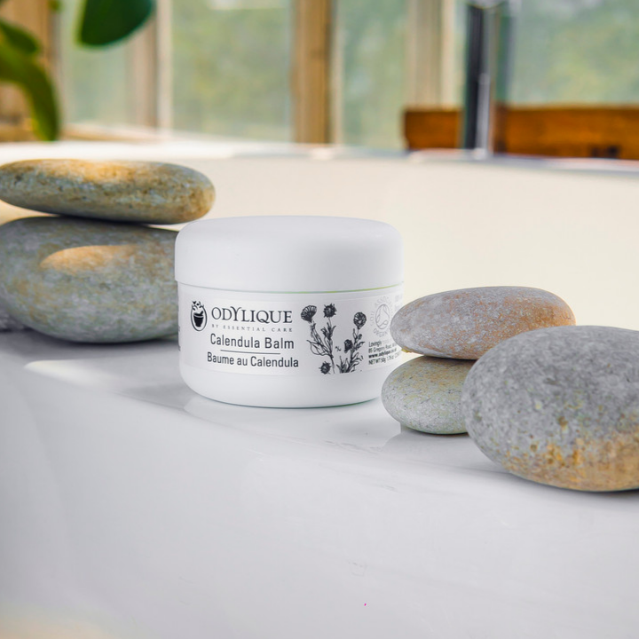 Odylique Balzam z nechtíka lekárskeho Calendula Balm 50ml – Obrázok 4