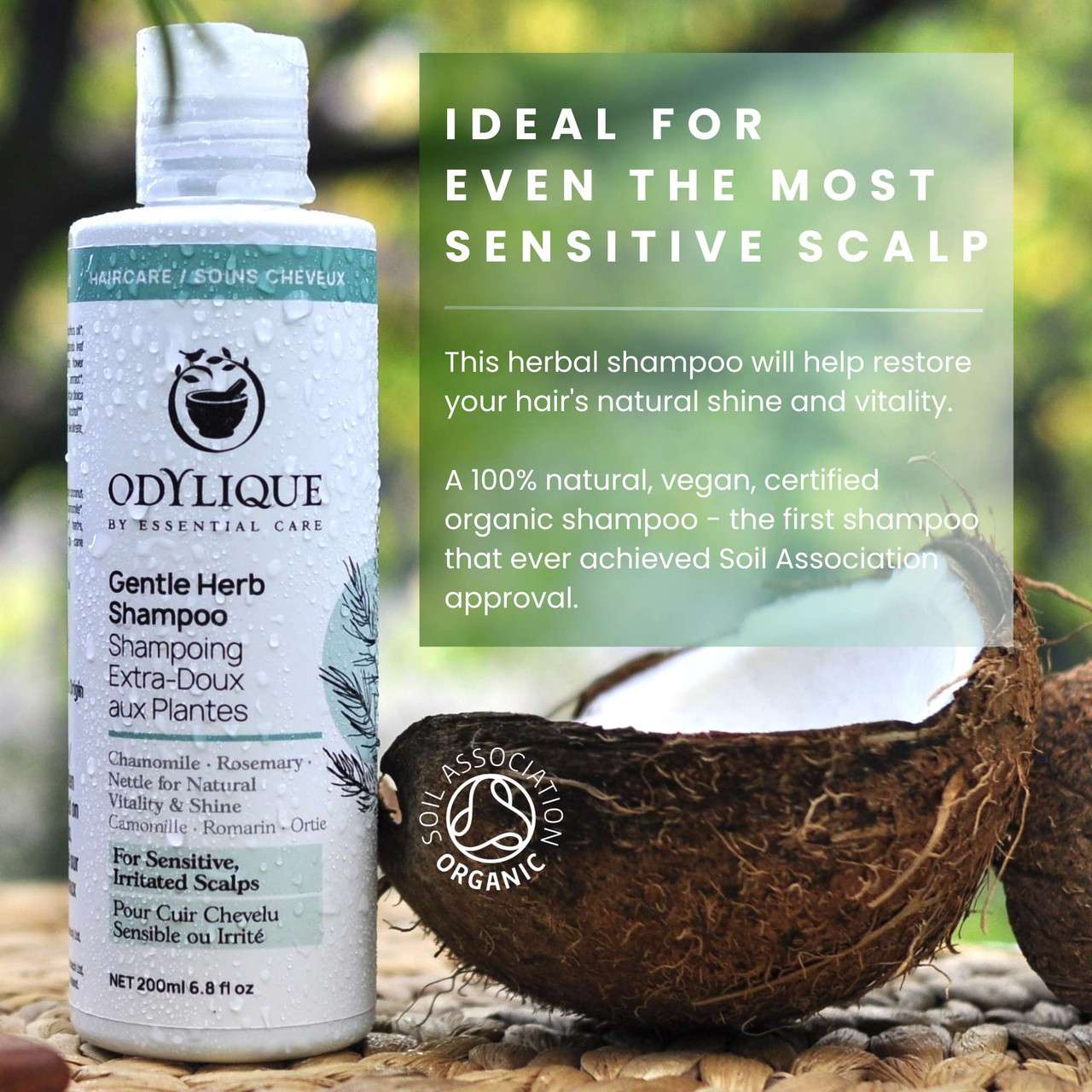 Odylique Jemný bylinný šampón Gentle Herb Shampoo 200 ml / 500 ml – Obrázok 4