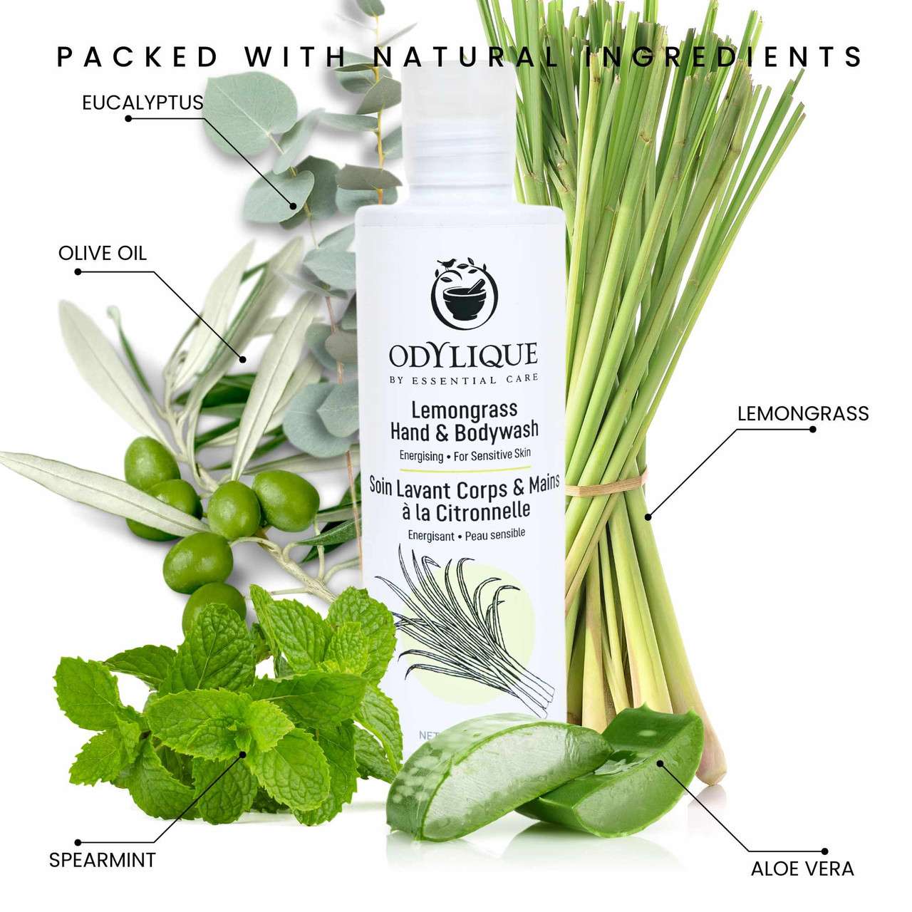 Odylique Sprchový gél z Citrónovej trávy s Eukaliptom a mätou Lemongrass Hand & Bodywash – Obrázok 4