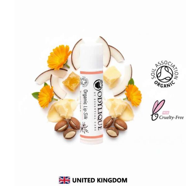 Odylique Organický balzam na pery Lip Silk 4,5 g