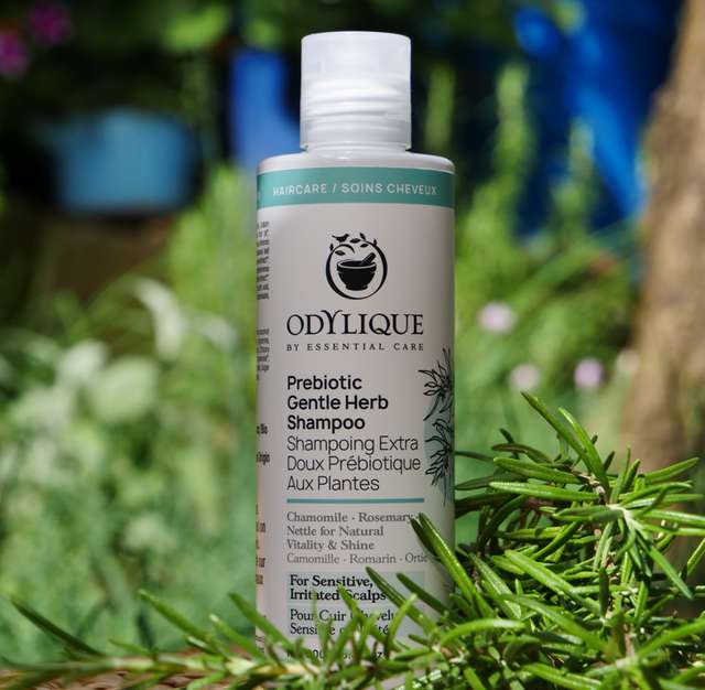 Odylique Prebiotický jemný bylinkový šampón 200 ml Prebiotic Gentle Herb Shampoo (NOVINKA!) – Obrázok 4