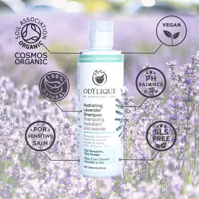 Odylique Hydratačný levanduľový šampón 200 ml 500 ml (NOVINKA!) – Obrázok 5