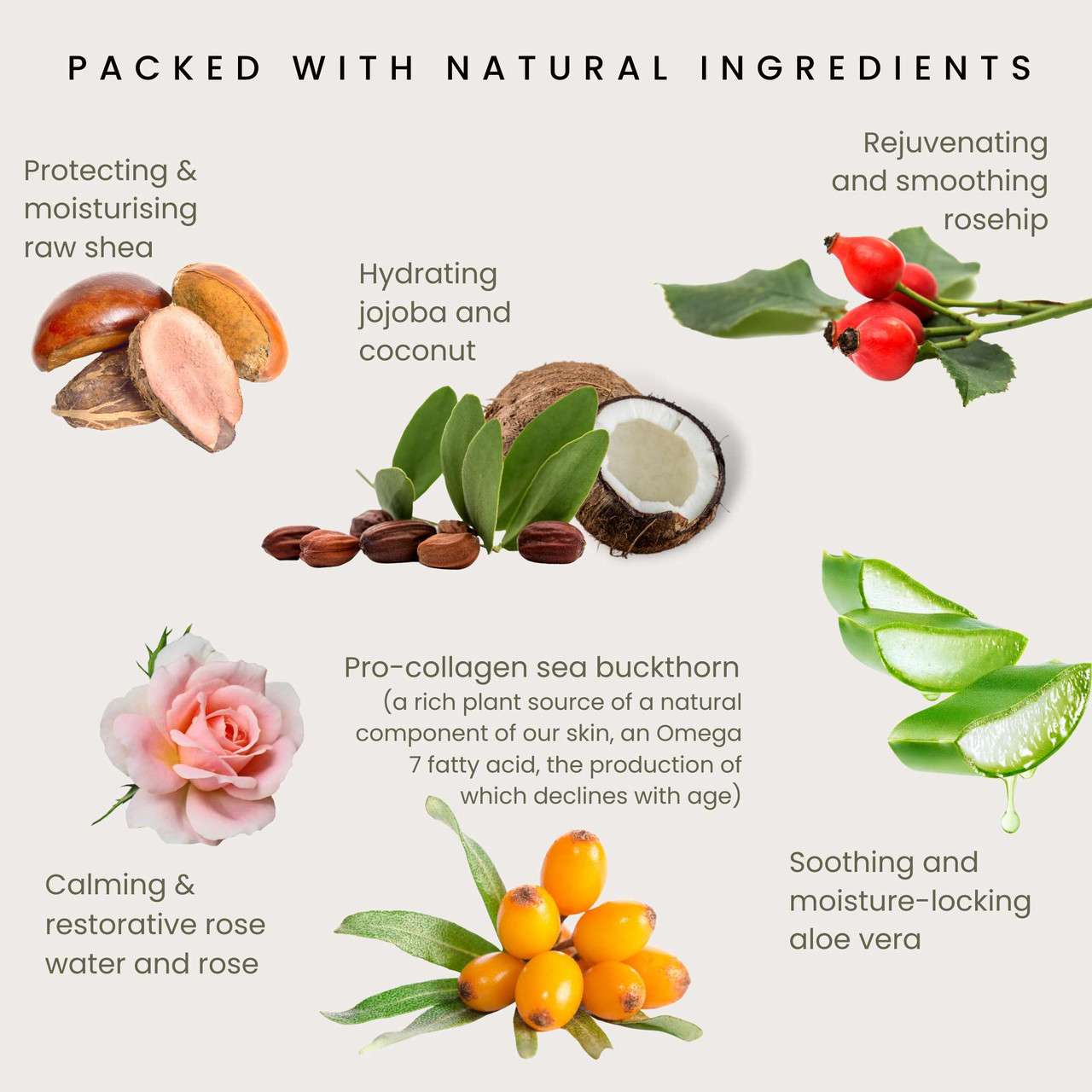 Odylique Timeless Rose Moisturiser 50 ml – obnovujúci antioxidačný ružový hydratačný krém na citlivú pleť – Obrázok 7